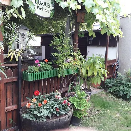 Bed and breakfast Weinbau Bila Auer *