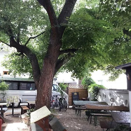 Weinbau Bila Auer
