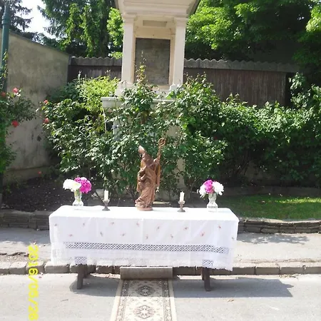 Weinbau Bila Auer *